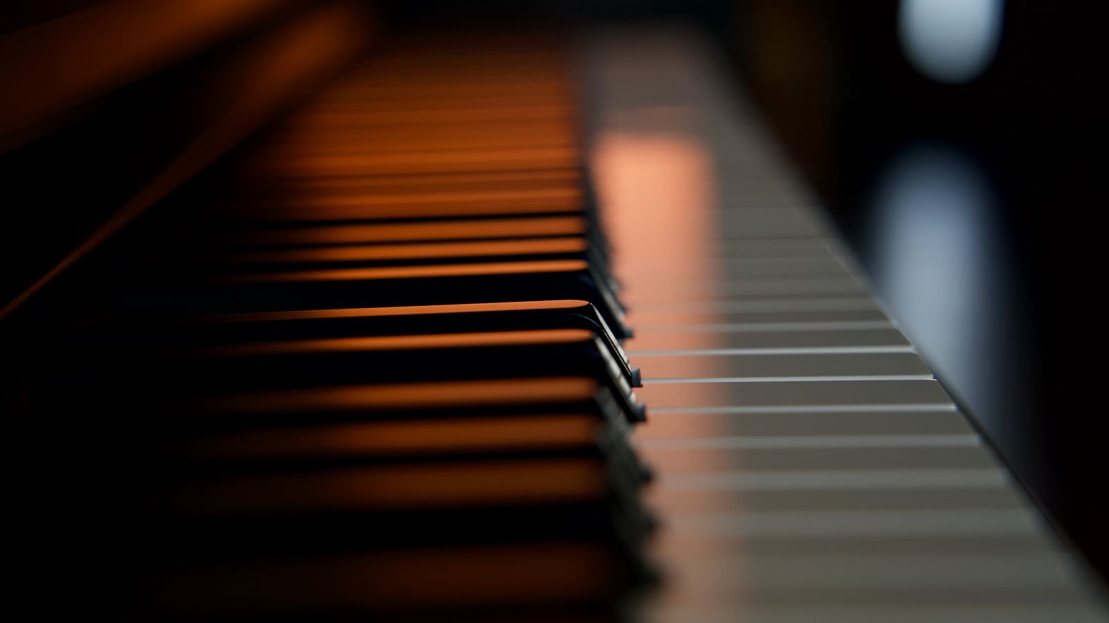 Müzik Botu